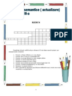 VIII - Categorii Semantice