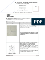 Tarea - Practica 4