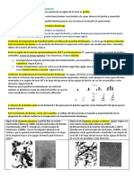 8.9 Transformacion A Perlita y Bainita