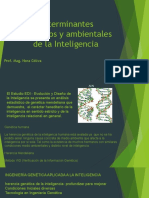 2 - Determinantes Genéticos y Ambientales de La Inteligencia