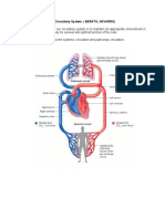 Physiology of The Circulatory System