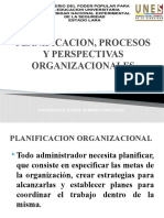 Planificacion Procesos y Perspectiva Organizacional - PPSX