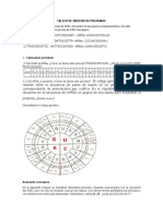 Taller de Sintesis de Proteinas PDF