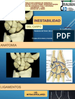 Inetabilidaddelcarpo Brizuela 181008184657