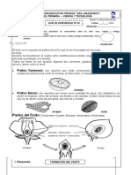 Guía de Ciencia y Tecnologia 26 - 3º