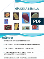 Morfologia de Semilla PDF