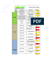 Matriz de Impactos y Aspectos Ambientales