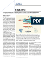 Rewriting A Genome