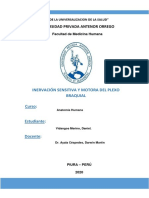 Inervación Sensitiva y Motora Del Plexo Braquial - Vidangos Merino Daniel PDF