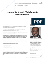 Cálculo Da Área de "Patolamento de Guindastes" - Consultoria & Engenharia-Parte 2