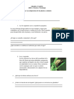 Ficha Las Adaptaciones de Los Animales y Plantas 4to Grado