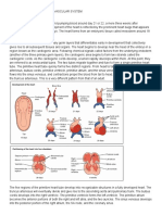 Development of The Heart