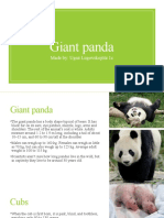 Giant Panda: Made By: Ugnė Lugovskojūtė 1c