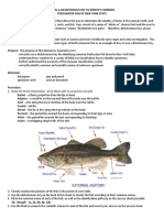 Fish Dichotomous Key From New York