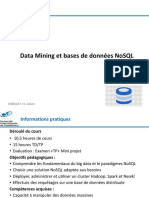 Datamining Et Bigdata