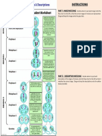 In Spermatogenesis, 4 Genetically Unique Sperm Cells Are Created. in Oogenesis, 1 Ovum Forms and 3 Polar Bodies