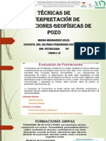 Técnicas de Interpretación de Formaciones Geofísicas de Pozo