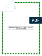 SP La Pratique de La Comptabilite en Entreprise