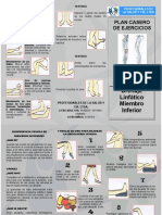 Plan Casero de Drenaje de Miembro Inferior