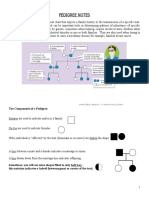 Pedigree Intro Worksheet