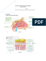 Students Worksheet For Special Senses