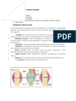 Clasificacion de Las Articulaciones