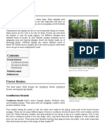 Forest: Coniferous Forests