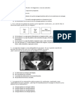 Prueba de Diagnóstico 7° Basico Ciencias Naturales.