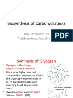 09-Biosynthesis of Carbohaydrates-2