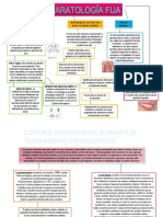 Aparatologia Fija