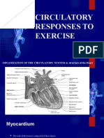 Circulatory Response To Exercise