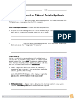 Student Exploration: RNA and Protein Synthesis