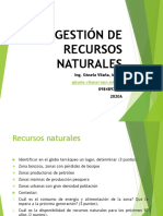 Importancia de Recursos Naturales