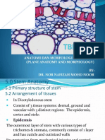 Anatomi Dan Morfologi Tumbuhan (Plant Anatomy and Morphology) BY: Dr. Nor Nafizah Mohd Noor