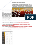 Fossils: Evidence For Evolution Worksheet: Paleontology