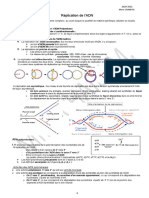 Replication Procaryote