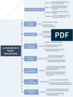 La Evolución de La Familia Neorromanista