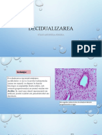 Decidualizare-Stan Andreea Simina