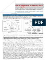 TP Chimie 11 Clou de Girofle