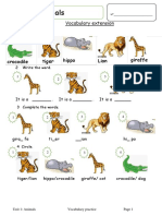 Vocabulary Extension Animals