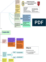 Mapa Mental Del Transporte Celular PDF