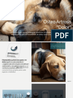 Artrosis - Veterinaria