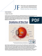 Uveitis Definition: C. Stephen Foster, M.D