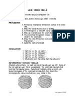 Lab: Onion Cells