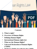 Introduction To Human Rights Law