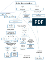 Cellular Respiration Concept Map