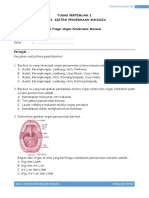 Tugas IPA Kelas 8 Bab 4 Pertemuan 2 Struktur Dan Fungsi Organ Pencernaan Manusia