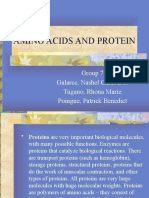 Amino Acids and Protein