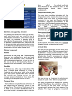 TMJ and Muscles of Masticatory