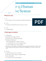 Chapter 13 Human Digestive System